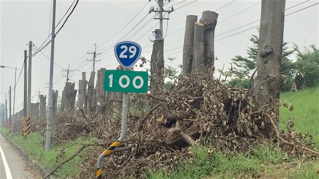 台29線這一段土石流　南下路段封閉