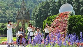 連假玩南投　遊樂園區推兒童優惠清明及兒童節連假4日到8日，林務局南投林區管理處所轄奧萬大國家森林遊樂區、泰雅渡假村推出12歲以下兒童免費入園，九族文化村門票優待3歲到6歲兒童，希望吸引親子遊客。圖為九族薰衣草。（九族文化村提供）中央社記者蕭博陽南投傳真　107年4月1日