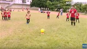 ▲三立足球單元。