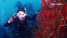 潛水毀珊瑚1800