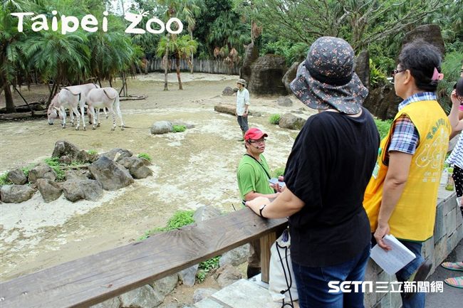 夏夏叫 一年只有這8天北市動物園暑假周六晚上開放 旅遊頻道 三立新聞網setn Com