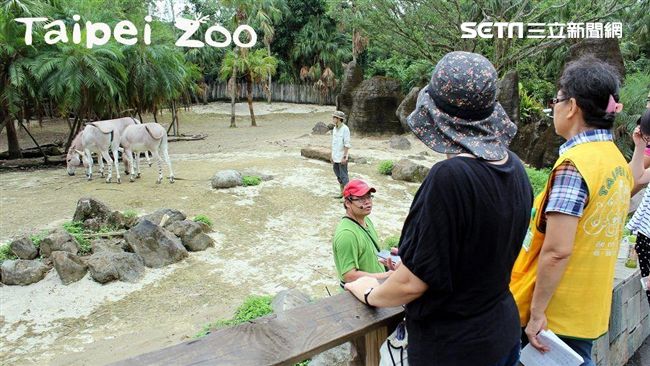 一年只有暑假8天　動物園周六夜開放