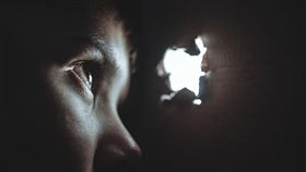 包庇9男童性侵案　澳樞機主教被判12個月居家軟禁（圖／翻攝自Pixabay）