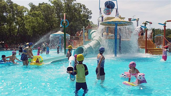 知卡宣綠森林親水公園　清涼過一夏