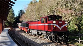 林務局自營阿里山鐵路　專責單位7月掛牌行政院農業委員會林務局嘉義林區管理處30日表示，林務局將阿里山鐵路收回自營，成立專責單位「阿里山林業鐵路及文化資產管理處」，7月1日將正式掛牌。（嘉義林管處提供）中央社記者葉子綱傳真　107年6月30日