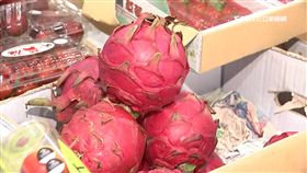 火龍果下一波價崩?農委會推