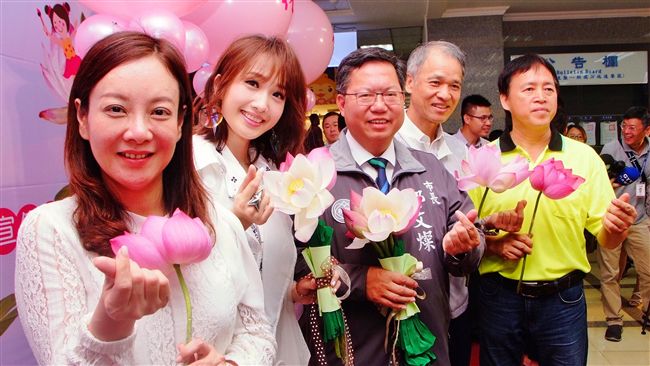 桃園蓮花季登場　夏日搖曳生姿