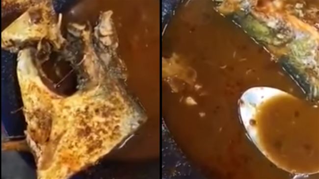 魚湯驚見一群蠕動蛆　店家囂張不道歉