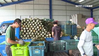 水果價崩！農民揚言抗議　林聰賢說…