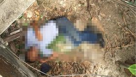 新北,泰山,田地,飲酒,失足,屍體（圖／翻攝畫面）