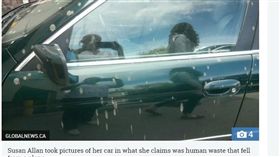 加拿大,2個月,排泄物,糞便雨,弄髒,汽車,加拿大雁（圖／翻攝自英國《太陽報》）
