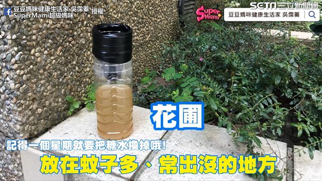 自製捕蚊神器　讓蚊子「只進不出」