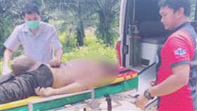 ▲大象踩死人（圖／翻攝自泰國網臉書） 