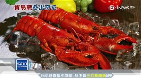 誰怕誰! 陸擬徵