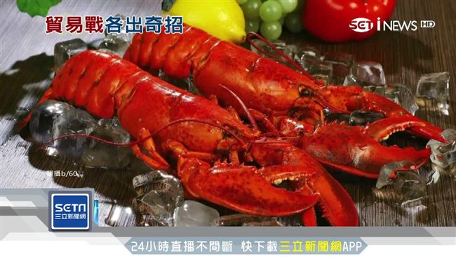 貿易戰陸擬徵「龍蝦關稅」　美漁民慌