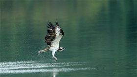 推封溪護漁　新店廣興盼復育生態展契機新北市新店區廣興社區比鄰新店溪畔，擁有好山好水與豐富生態。當地推動廣興產業復興運動，3日會勘河濱公園，盼推野鳥觀察與封溪護漁。（春雷環境學社）中央社記者黃旭昇新北市傳真　107年7月3日