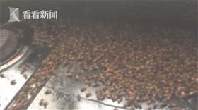 大陸河南一家遭蜜蜂闖入（圖／翻攝自網易）