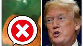  驚見川普造型毒品。 (圖/翻攝自FOX NEWS)