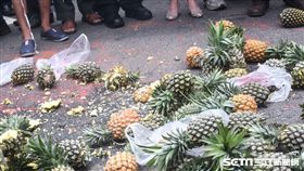 南部五縣市農民北上行政院抗議鳳梨價格崩跌。 （圖／記者林敬旻攝）