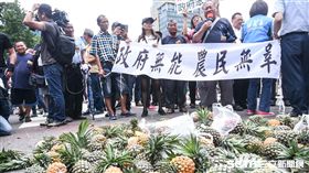 南部五縣市農民北上行政院抗議鳳梨價格崩跌。 （圖／記者林敬旻攝）