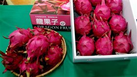紅龍果入產季　台南推禮盒宅配到府台南市栽種的紅龍果進入產季，市府農業局邀集優質供貨單位推出禮盒宅配到府服務。中央社記者楊思瑞攝　107年7月4日