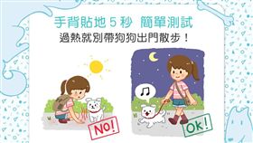 名家／毛起來／手背貼地5秒——過熱就別帶狗狗出門散步！