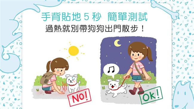手背貼地5秒　過熱就別帶狗狗出門