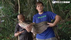 盧學叡（圖／八大提供）