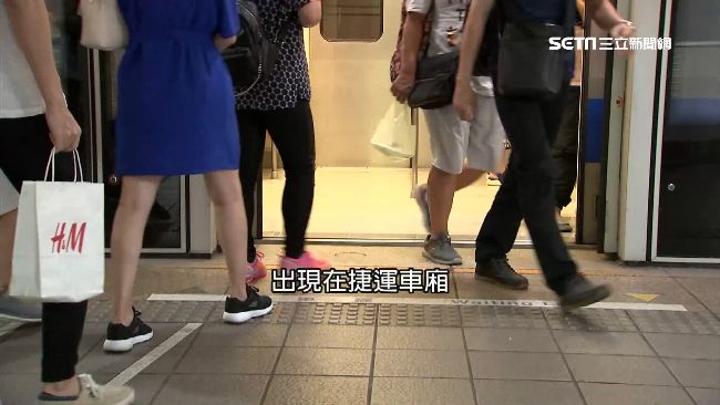 台鐵、高鐵無鼠患　專家說因這一點