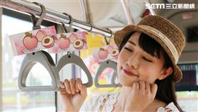 旅行,桃園,台灣好行,慈湖線,小烏來線,親子樂園線