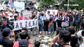 鳳梨抗議染色？2人遭疑背景不單純