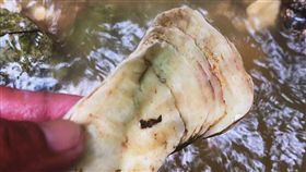 大雨沖刷　高雄小溪貝塚現貝殼獸骨高雄柴山小溪貝塚遺址一帶因近日大雨沖刷，土石裸露，當中可見不少貝殼、獸骨，由於皆屬考古文物，高雄市文化局也提醒民眾勿任意撿拾，否則恐將觸法。（高雄市舊城文化協會提供）中央社記者王淑芬傳真　107年7月5日