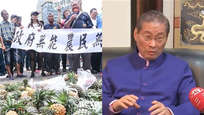 傳白狼將同台　鳳梨農抗議人數銳減