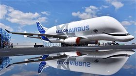 大白鯨，飛機，空中巴士（圖／翻攝自Airbus推特）