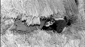 華城連環殺人案,性侵,南韓（圖／翻攝自網路）