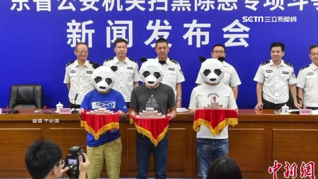 舉報領250萬　勇者扮貓熊領獎爆笑