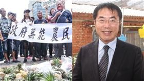 鳳梨,黃偉哲,簡源松,王定宇,國民黨,政治,鬥爭,農民,崩盤,新台灣加油　圖／資料照　