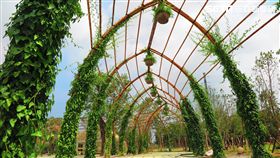 攀果花廊,台中世界花博