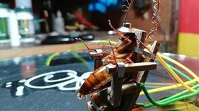 ▲圖／翻攝自YouTube