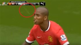 吃蜻蜓還不是最噁　英球員曾吃下鳥屎
世足,法國,Hugo Lloris,蜻蜓,英格蘭,Ashley Young,鳥屎
youtube