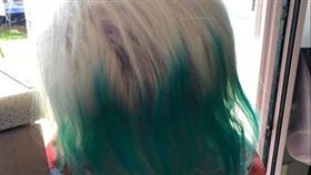 大陸,髮圈,英國,染色　圖／翻攝自《Daily Post》