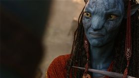 阿凡達（圖／翻攝自推特）