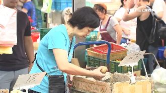 瑪莉亞還沒來　市場葉菜類價格已小漲