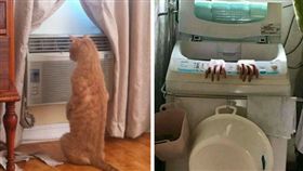 翻攝爆料公社臉書