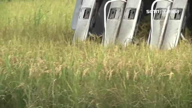不進口糧食撐多久？台灣農業實力揭密