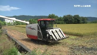 張嘉郡稱下個零關稅恐是稻米　農業部澄清
