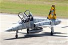 F-5虎斑彩繪機 記者邱榮吉攝