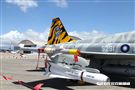 F-5虎斑彩繪機 記者邱榮吉攝
