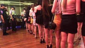 酒店妹排排站受檢　裙子激短「美腿如林」！緝毒犬也暈了 圖／翻攝畫面