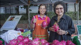 總統府秘書陳菊7日出席在總統府外舉辦的農產品銷售會。（圖／總統府提供）